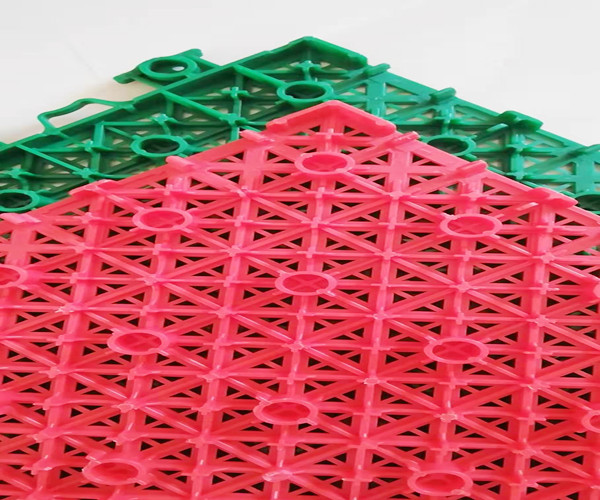 1636892572582353.jpg d3.jpg