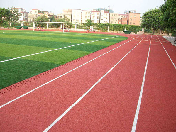 1638952215326128.jpg 202011149562279994.jpg