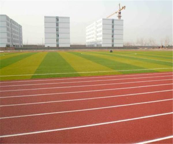 學校塑膠跑道 學校塑膠跑道