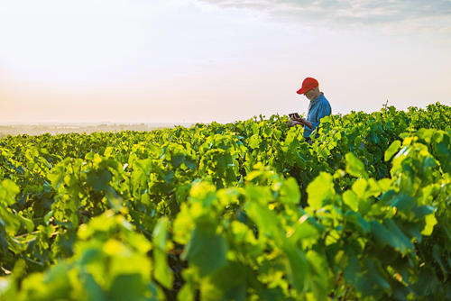 FBN是什么意思？跟亞馬遜FBA、FBM有什么關聯？